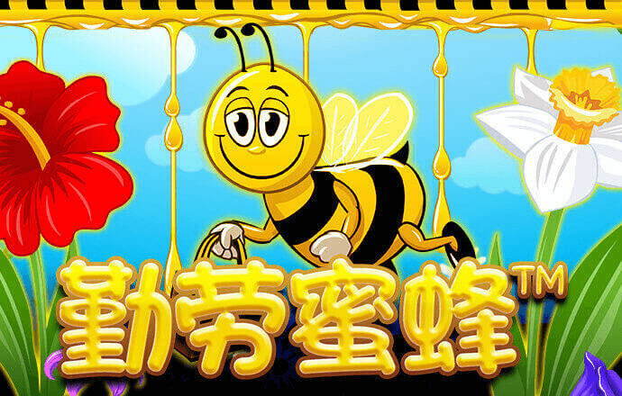 6151彩票最新开网址是什么